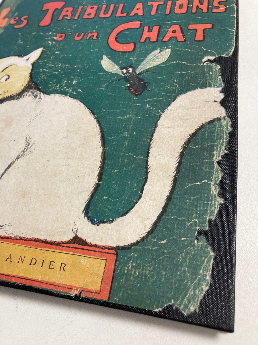 Benjamin Rabier : reliure parlante. Réalisations de reliure et restauration par l'Atelier Bonnouvrier. Yvelines.